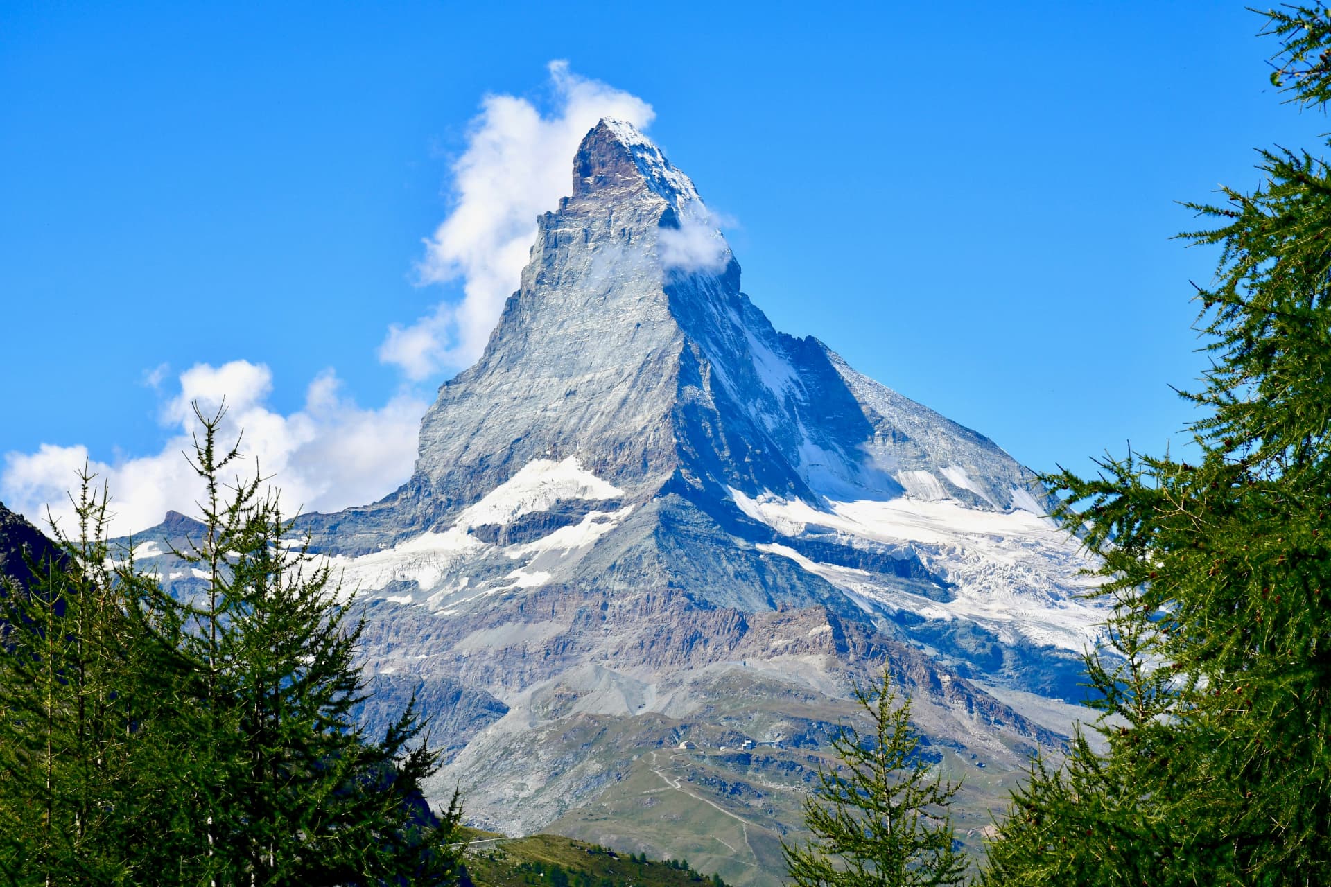 The snow-capped Matterhorn peak rising above the Swiss Alps under a blue sky, framed by green coniferous trees.
